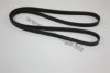 AUTOMEGA 3063400680 V-Ribbed Belts